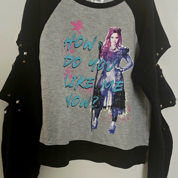 Disney Other - Disney Descendants Sweatshirt